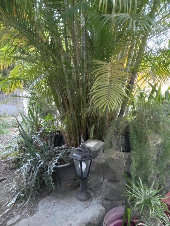 Le Jardin Villa Saint-Leu Ngoại thất bức ảnh